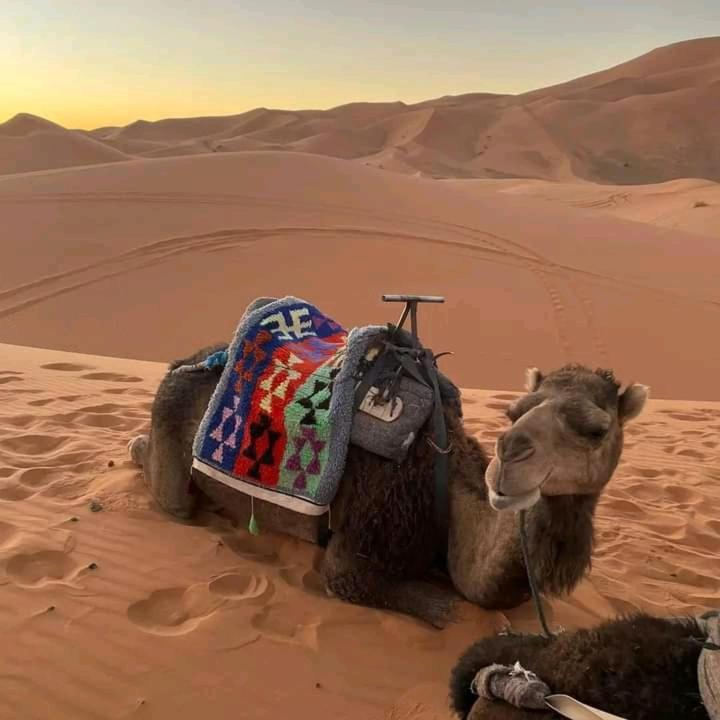 Kasbah Ait Arbi Hotell Ait Ougliff Exteriör bild