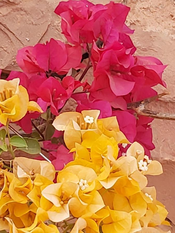 Kasbah Ait Arbi Hotell Ait Ougliff Exteriör bild