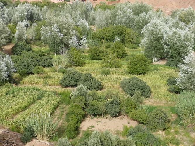 Kasbah Ait Arbi Hotell Ait Ougliff Exteriör bild